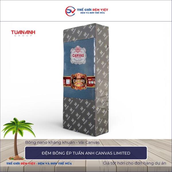 Đệm bông ép Tuấn Anh Canvas Limited 1